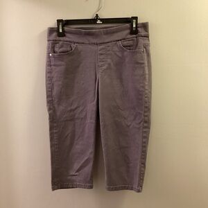 Gloria Vanderbilt All Around Slimming Woman’s size 8 petite skimmer pant